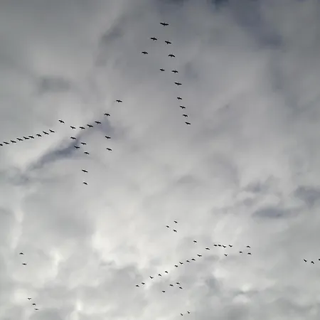 Krabbe Apartment Fedderwardersiel