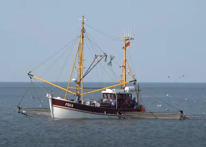 Krabbe Διαμέρισμα *