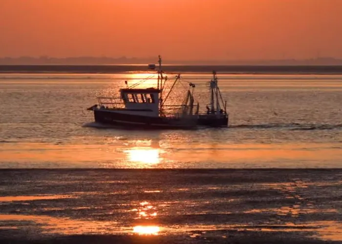 Krabbe Διαμέρισμα