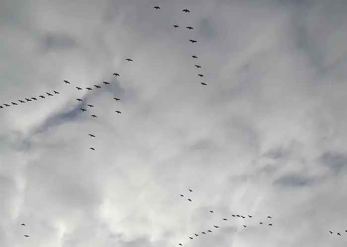 Krabbe Διαμέρισμα Fedderwardersiel