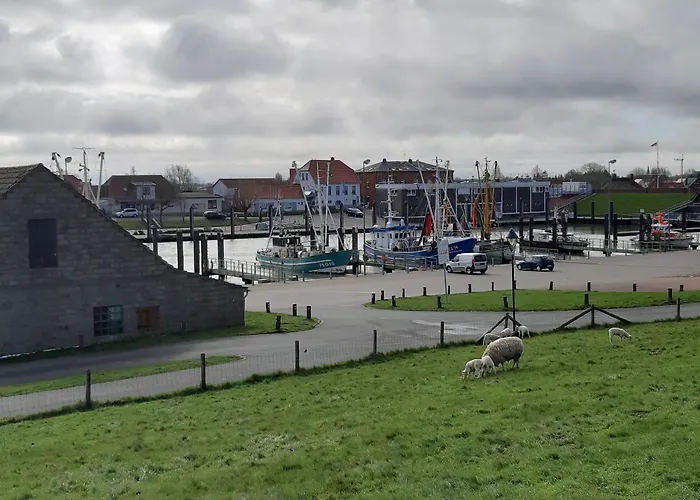 Krabbe Διαμέρισμα *